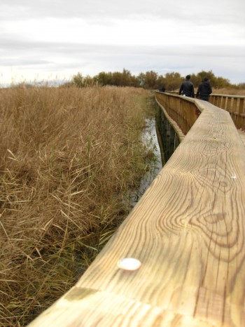 Tablas de Daimiel (Parque Nacional y Pueblo)