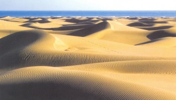 Gran Canaria I (Maspalomas y Playa del Inglés)