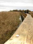 Tablas de Daimiel (Parque Nacional y Pueblo)